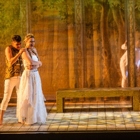 Don Gil de Alcalá - Alfonso Suarez